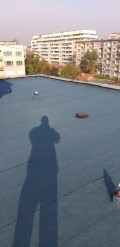 Bитумна хидроизолация на плосък покрив | АЙ ПИ ЕМ БИЛД